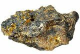 Orange Wulfenite Crystals On Matrix - Ojuela Mine, Mexico #239181-1